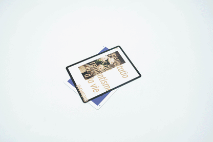 GOOSE PLAYING CARDS